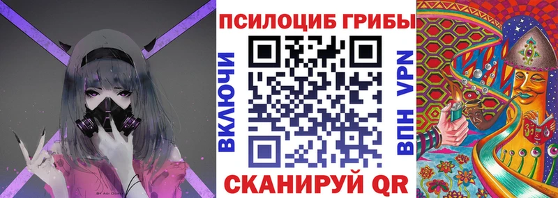 Псилоцибиновые грибы мицелий  наркошоп  Бокситогорск 